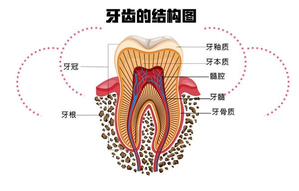 年轻人的第一次整形手术叫箍牙