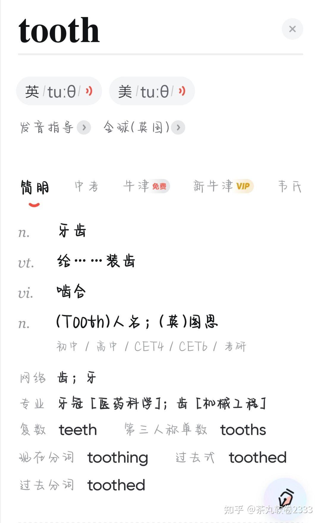 tooth是什单词