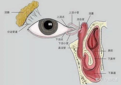 哭戏说来就来这不是演技派可能是患了泪道病