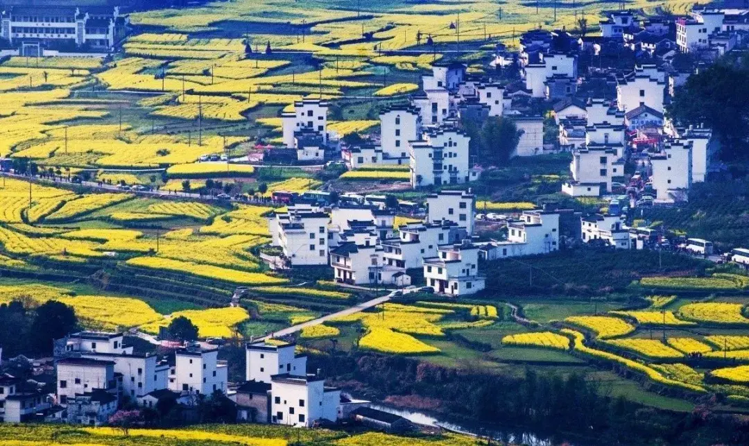 乡村旅游的创意玩法