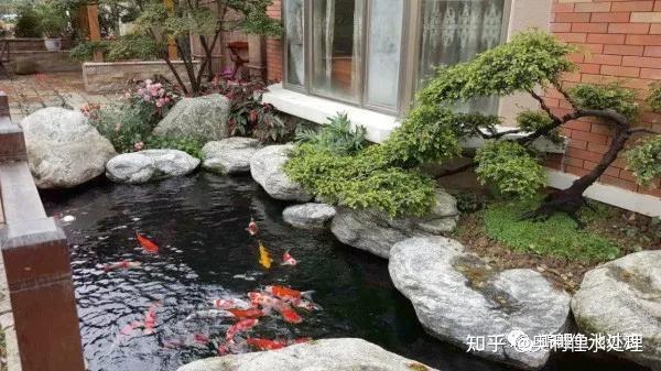 绵延千年的中国文化中式庭院鱼池