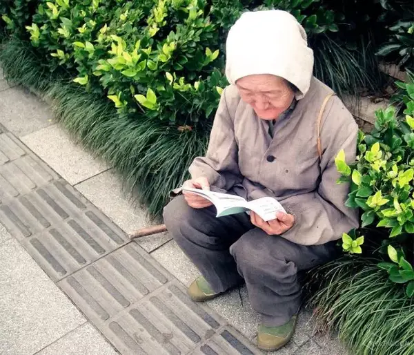 郑州路边看书的老奶奶