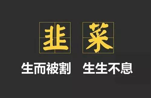 收割韭菜赚带血的钱