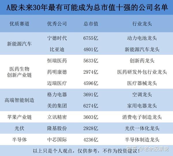 a股未来30年最有可能成为总市值十强的公司名单!