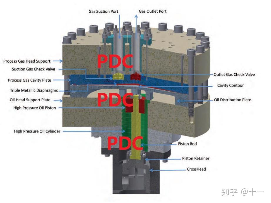 pdc隔膜压缩机剖面图