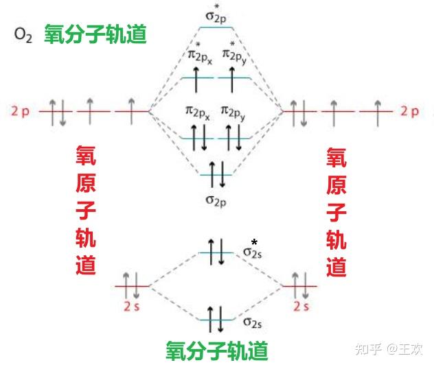 氧气的分子轨道结构图有没有大佬能看懂啊