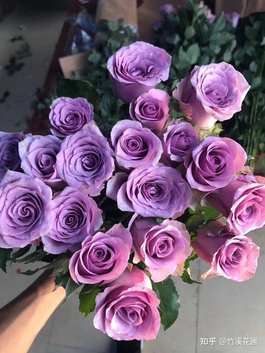 什么花是紫色?