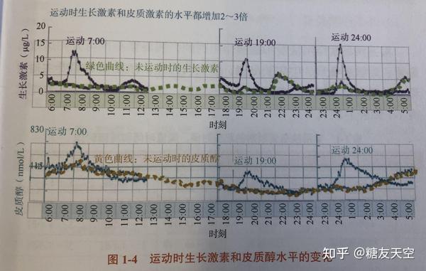 运动时生长激素和皮质醇水平的变化