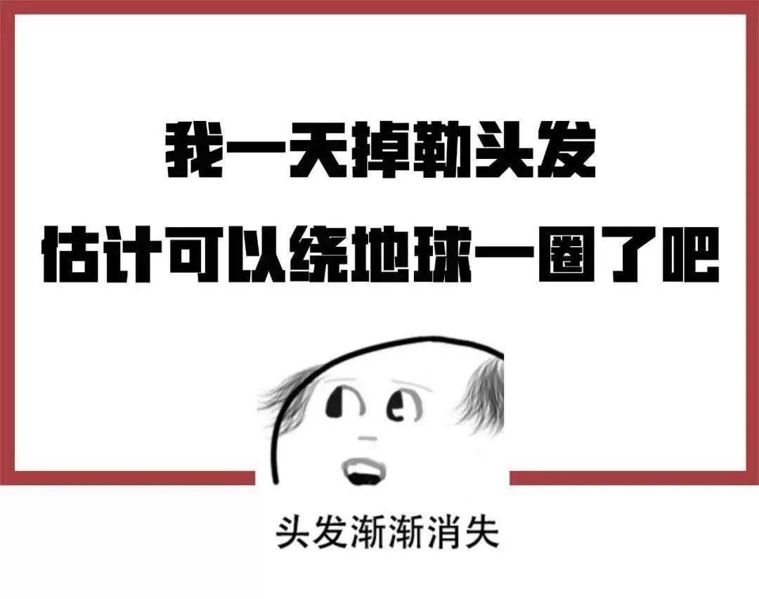 李小衡脱发发际线高其实还不仅仅是损坏个人形象