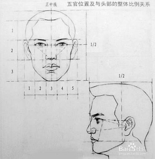 五官比例怎样才能画好