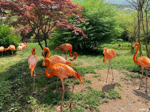 开上缤瑞,带孩子一起去游玩动植物园