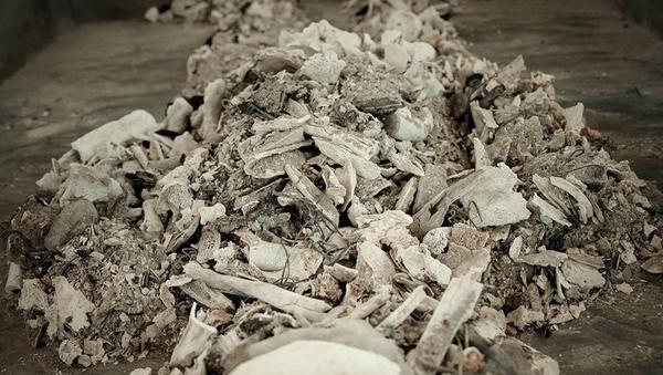 骨灰是什么它真可以做成茶杯碗碟甚至花17万制成钻石