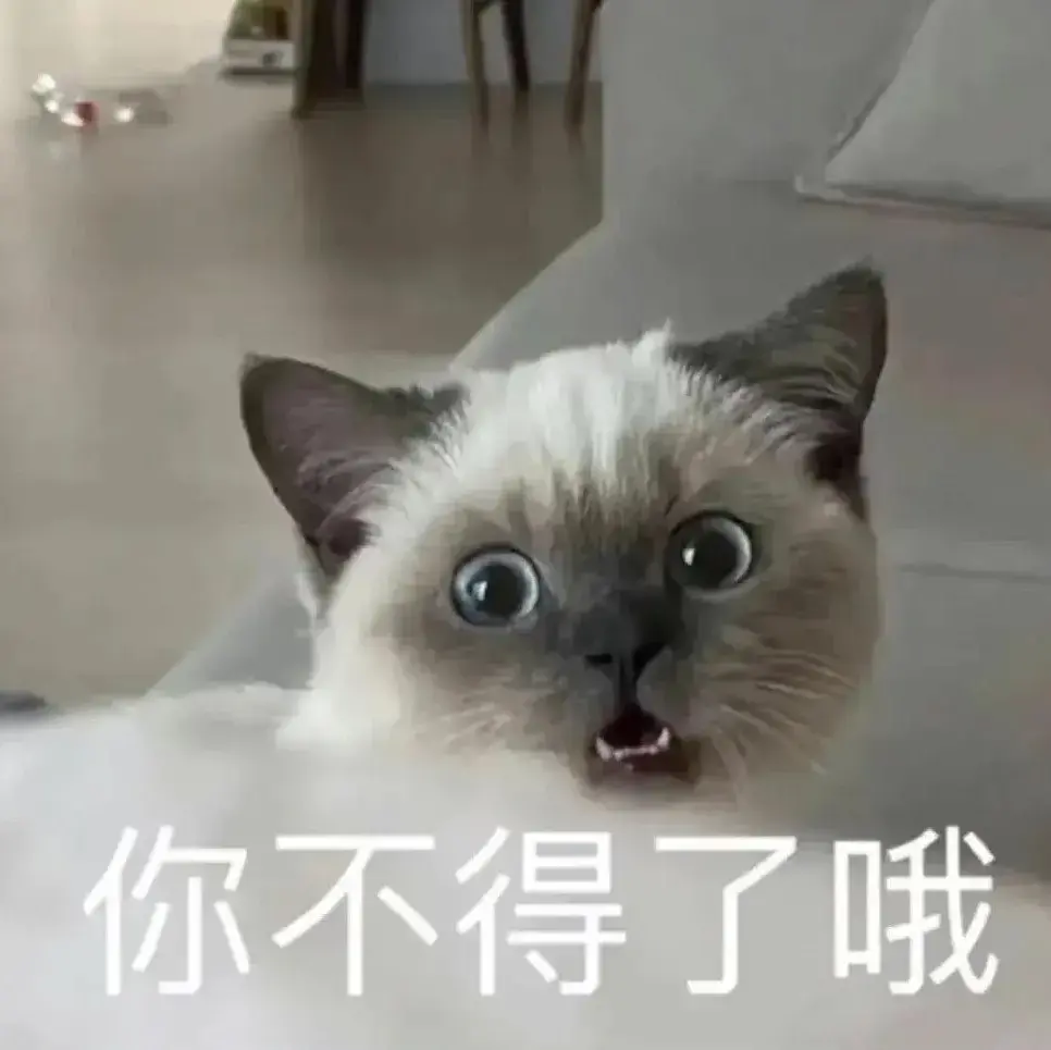 138张特别可爱猫猫的动态图或表情包
