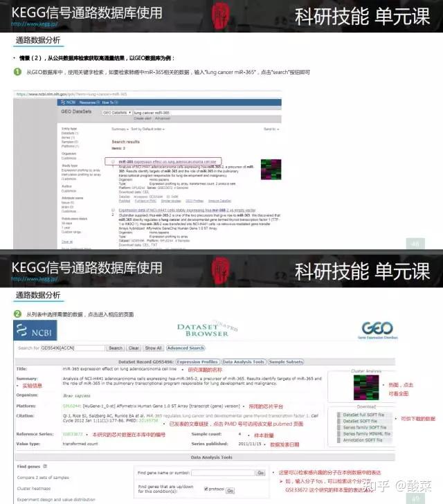 kegg的精华内容提炼浓缩到65张ppt内,依然是分解操作步骤的图文并茂