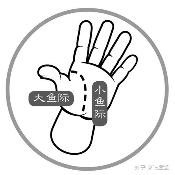 用手掌的 大鱼际(大拇指一侧),小鱼际(小指一侧)或手指等部位附着在