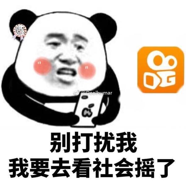 如何看待当下流行的社会摇?