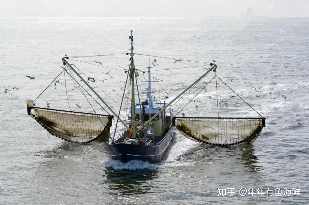 荷兰的深海捕鱼主要由拖网渔船船队进行.很多亚欧洲国家都是荷兰最大