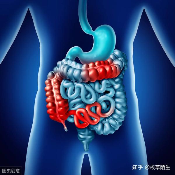 肠梗阻患者的心理护理
