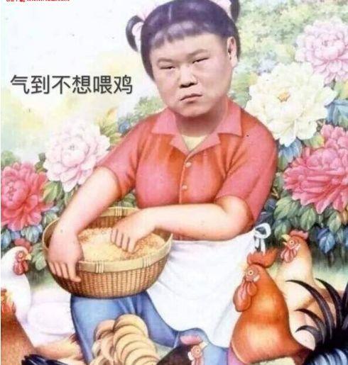 岳云鹏表情包干货,派送!