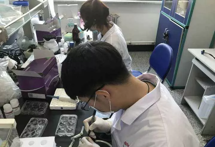 兰州大学女博士马天琼,曾读博七年,最终以一作发表science论文得以