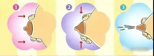 哺乳期挤奶会痛是因为你手法错了带图解说正确的挤奶手法与技巧新妈