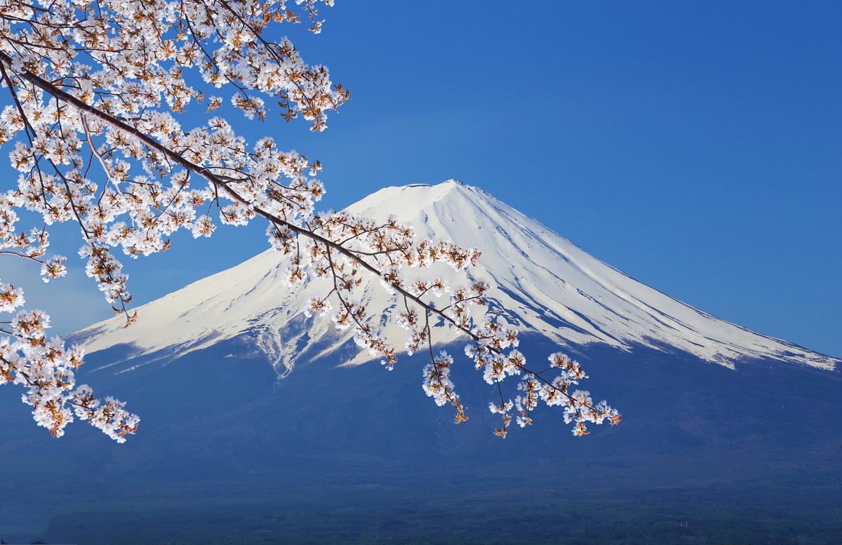 记住japan不是日本小心掉坑里啦