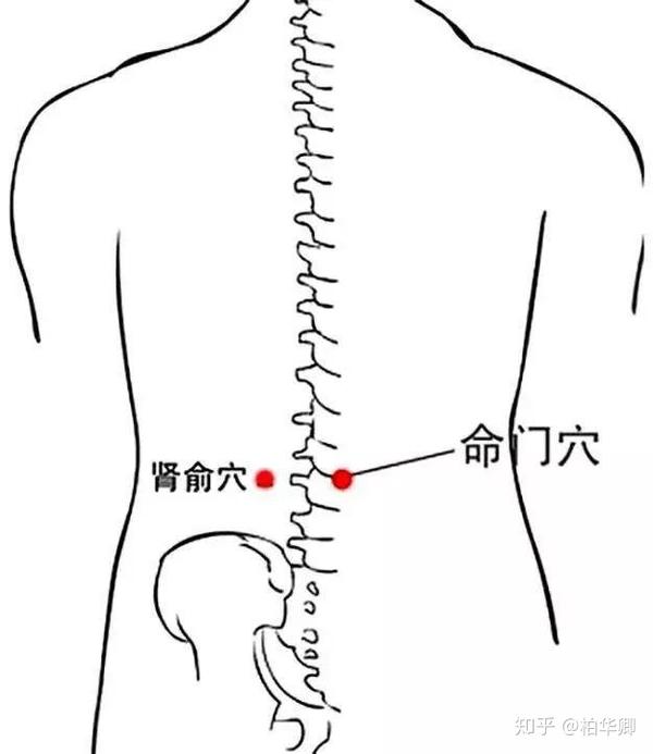 男人女人湿气重,艾灸那个部位位置穴位能够祛湿?