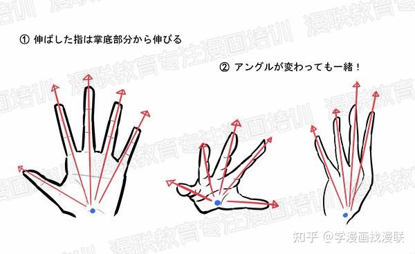 零基础如何学习掌握手的画法掌握这五个要点很重要