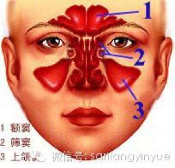 苦苦寻找,我们本来就会呼吸,还在找呼吸的方法,我们本来就有共鸣腔体