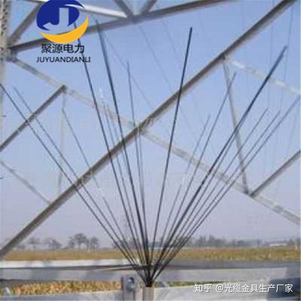 防鸟刺是如何与鸟类达成约定