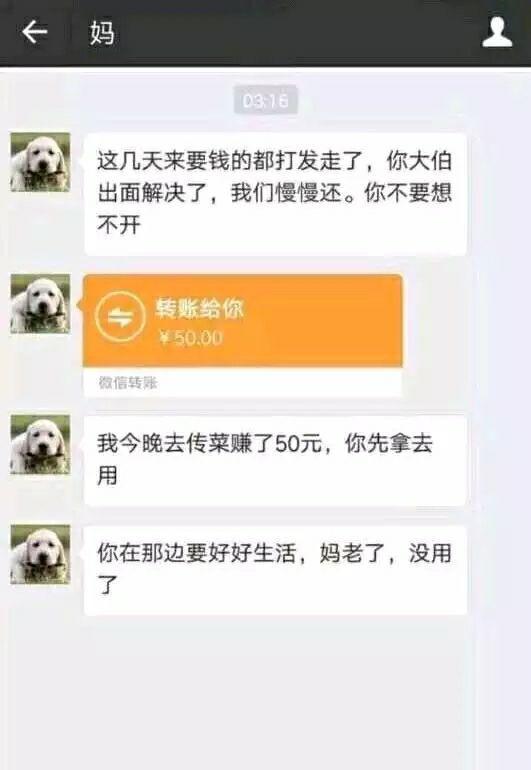 图片出自戒赌吧