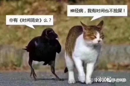 旁友,你有时间简史(捡屎)吗?