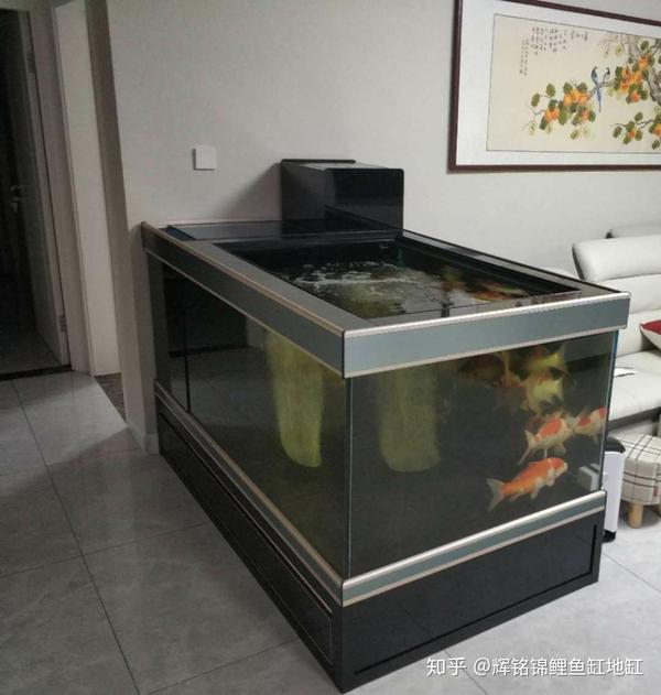 什么鱼缸适合养锦鲤