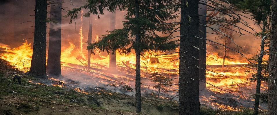 春季森林火灾多发,看森林防火气象站如何有效预防森林