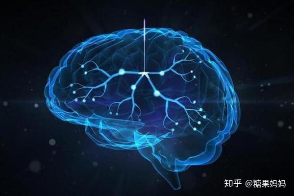 大脑细胞更是高达140亿,并已经开始形成沟壑,帮助宝宝完善各个神经