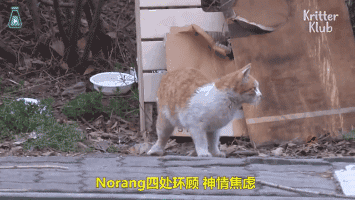 355_200gif 动态图 动图