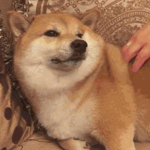 有哪些可爱的表情包?