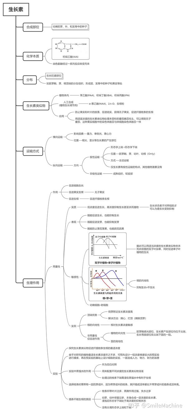植物的激素调节-知识结构图