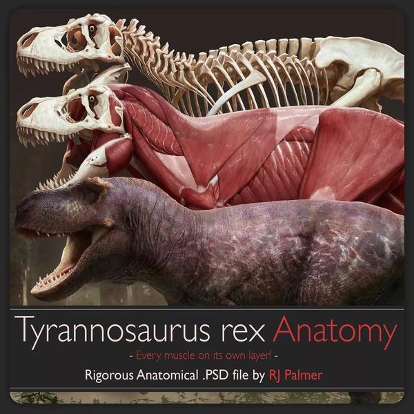 霸王龙,即雷克斯暴龙( tyrannosaurus rex),属暴龙科中体型最大的一