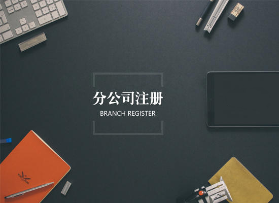 有限责任公司要如何设立分公司