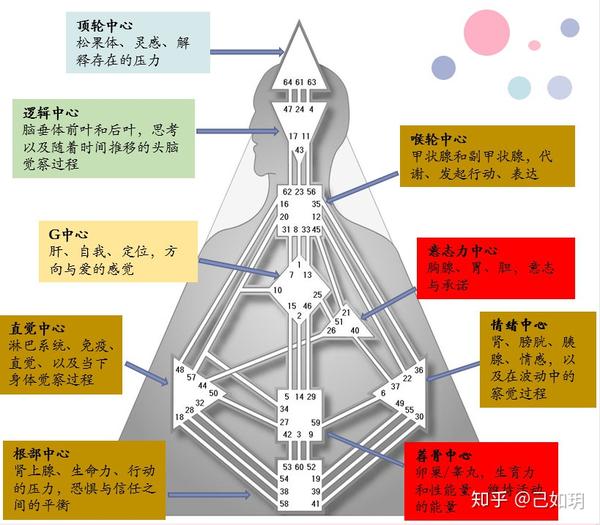 人类图:三个觉察中心的闸门对应的内容