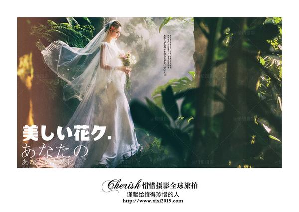 森系婚纱照是以树林或花丛为背景,拍摄出来的婚纱照风格清新脱俗,仙气