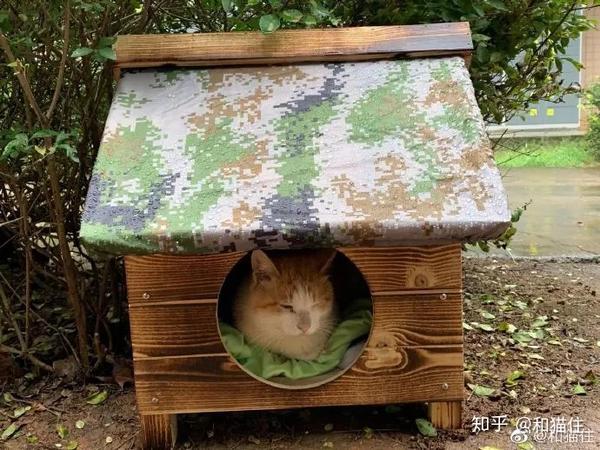 猫窝取暖 有善心的人,真的很多 为了帮助流浪猫们顺利度过寒冷的冬天