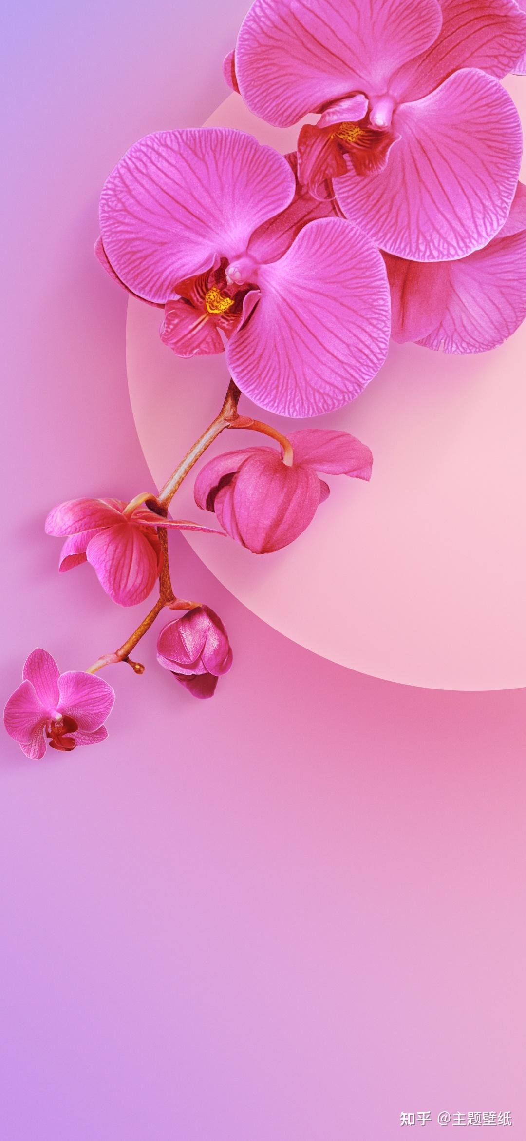 主题壁纸,花海高清手机壁纸