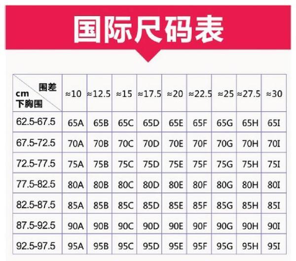 二,运动内衣和胸围对照方式:   1.国际尺码(美标尺码)见图