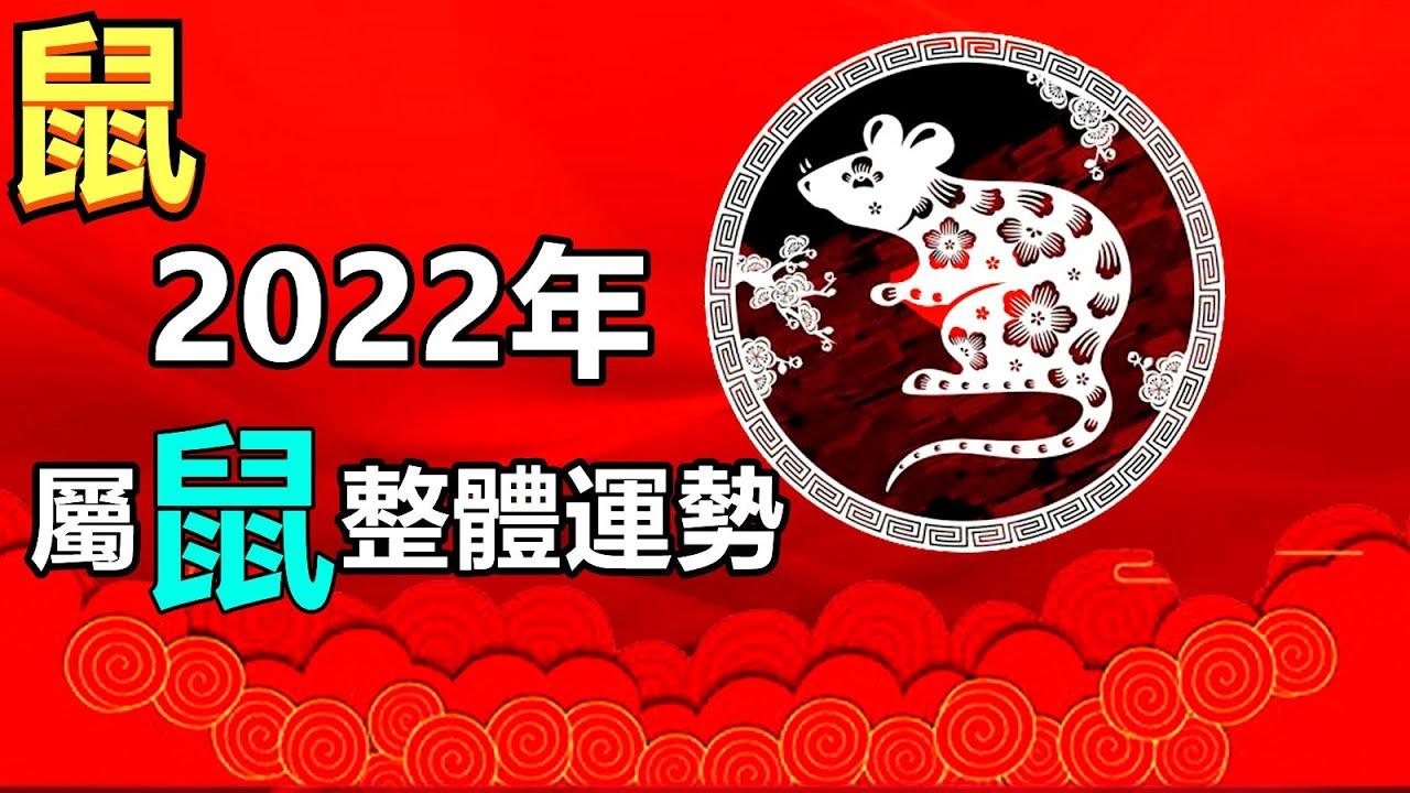 2022年十二生肖图片,2022生肖卡对照表 2022年12生肖 属鼠整体运势