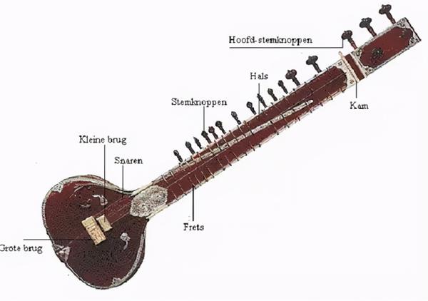 声音百科乐器篇西塔尔