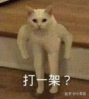 有哪些沙雕表情包?