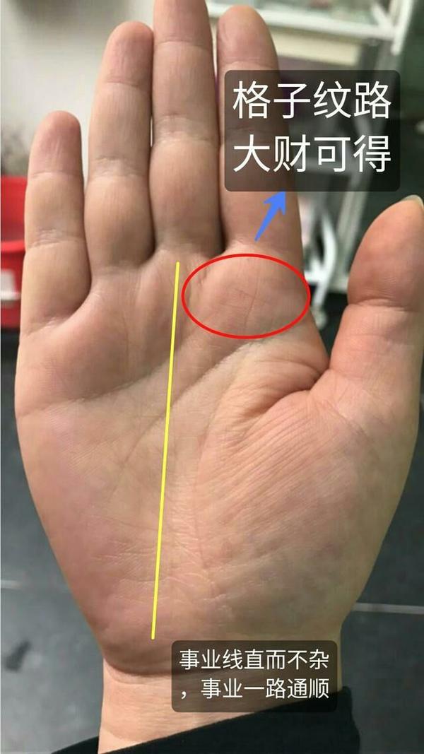 (结合福主的八字看,也是个富贵命,一生福气非比常人).