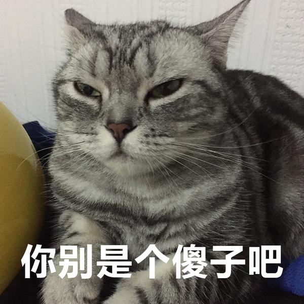 七初是一只很馋的猫 活生生表情包